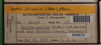 Image Associated With the Occurence